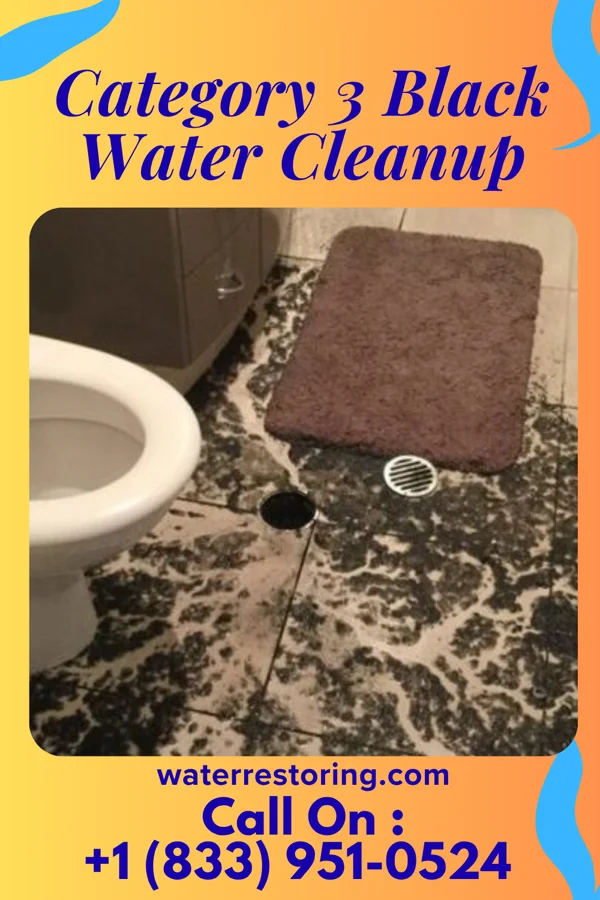 Category 3 Black Water Cleanup in Palmetto Bay, FL