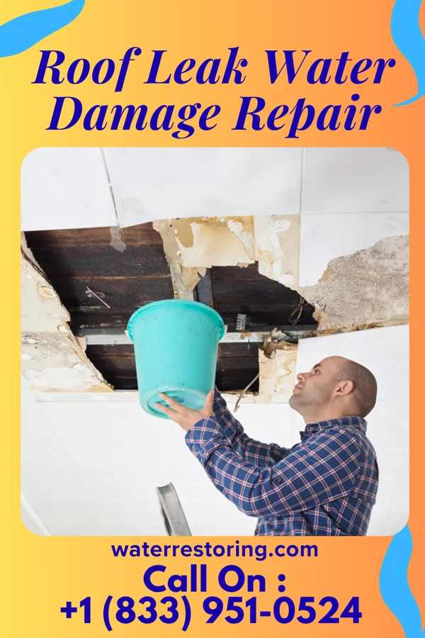 Roof Leak Water Damage Repair in Palmetto Bay, FL